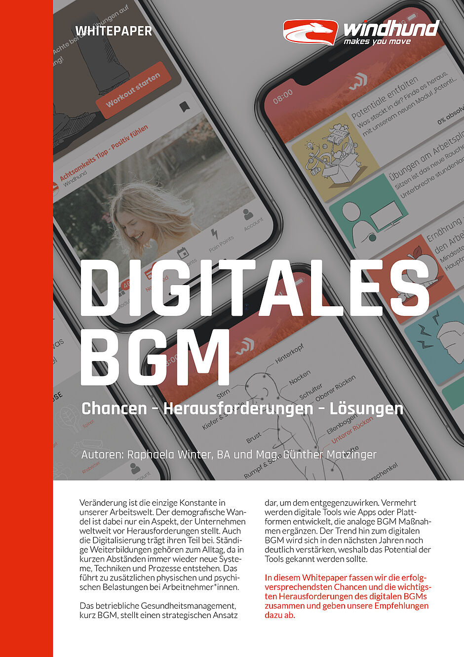 Whitepaper Digitales BGM