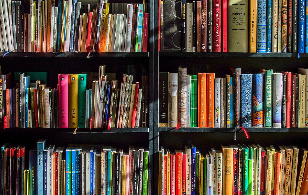 Windhund BGM Bücher und Literatur