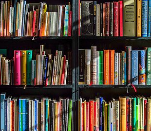 Windhund BGM Bücher und Literatur