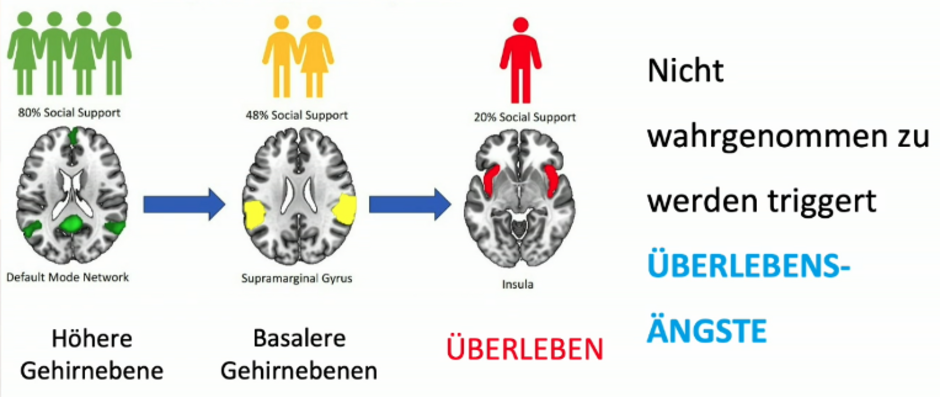 Wertschätzung aus evolutionärer Sicht