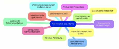 Kennzeichen des Alters