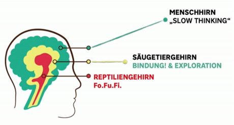 Bardia-Monshi-Gehirne