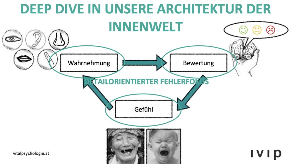 Architektur der Innenwelt
