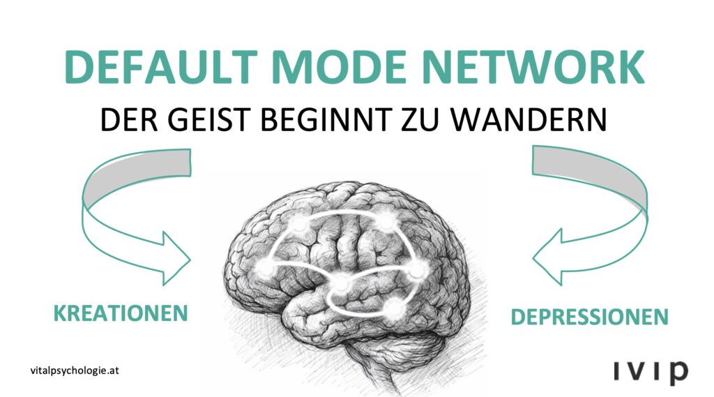 Default Mode Network